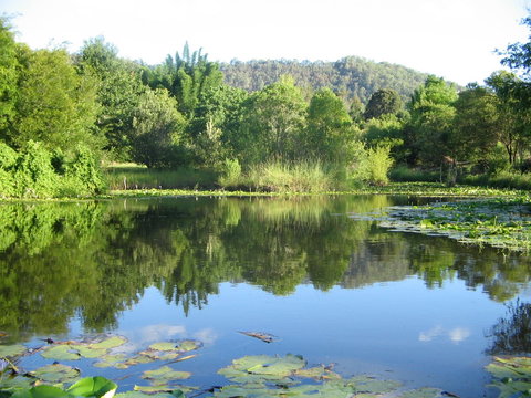 Djanbung Permaculture Gardens - Tourism Caloundra 10