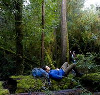 The Tarkine Drive - Tourism Caloundra