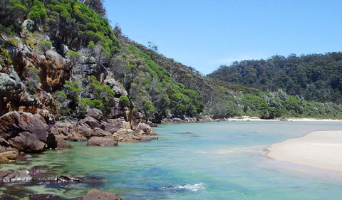 Nadgee Nature Reserve - Tourism Caloundra 1