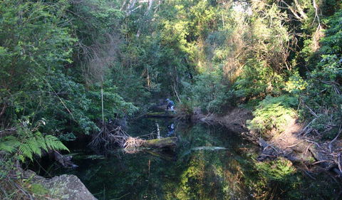 Nadgee Nature Reserve - Tourism Caloundra 2