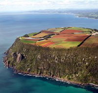Table Cape - Tourism Caloundra
