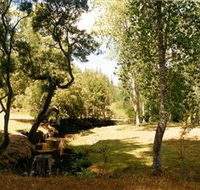 Oldina Picnic Area - Tourism Caloundra