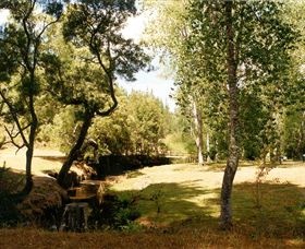 Oldina Picnic Area - Tourism Caloundra 0