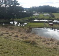 Guide Falls Farm - Tourism Caloundra
