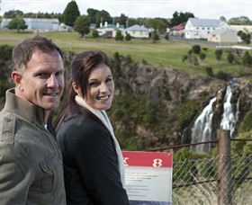 Waratah Falls - Tourism Caloundra 4