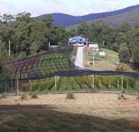 Motton Terraces - Tourism Caloundra