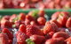 Turners Beach Berry Patch - thumb 0