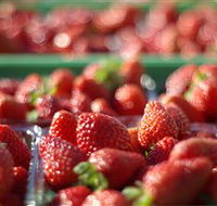 Turners Beach Berry Patch - Tourism Caloundra