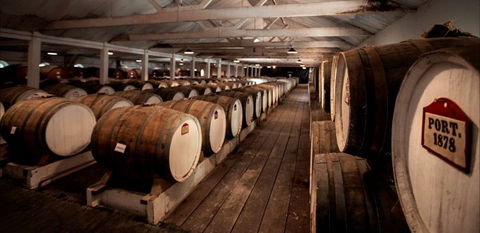 Seppeltsfield Winery Tours - Tourism Caloundra 3