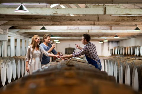 Seppeltsfield Winery Tours - Tourism Caloundra 8
