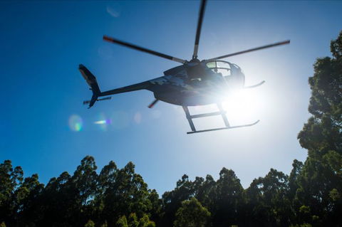 Tall Timbers Adventure Tours - Tourism Caloundra 3