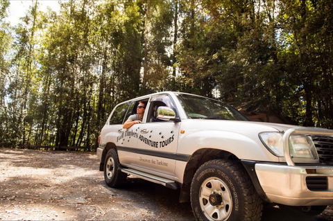 Tall Timbers Adventure Tours - Tourism Caloundra 11