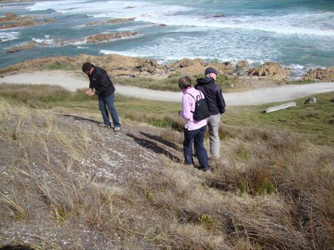 Tall Timbers Adventure Tours - Tourism Caloundra 12