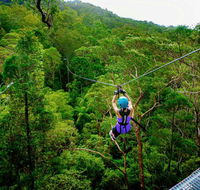 Canyon Flyer - Tourism Caloundra
