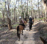 Silver Brumby Trails - Tourism Caloundra