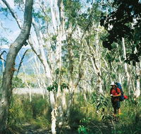 Thorsborne Trail Hinchinbrook Island National Park - Tourism Caloundra