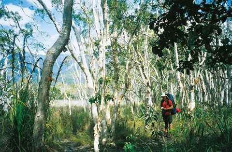 Thorsborne Trail, Hinchinbrook Island National Park - Tourism Caloundra 0