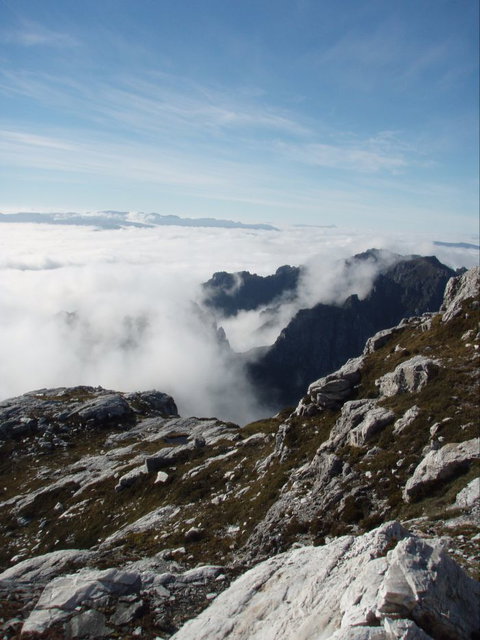 Trek Tasmania - Tourism Caloundra 5