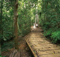 Lake Barrine Circuit Track Crater Lakes National Park - Tourism Caloundra