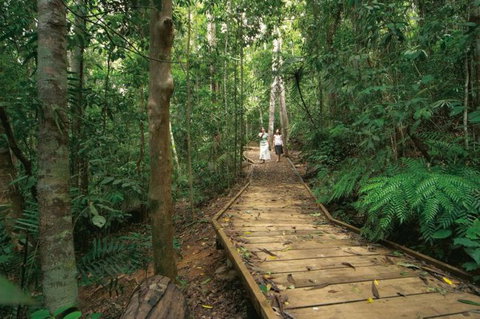 Lake Barrine Circuit Track, Crater Lakes National Park - Tourism Caloundra 0