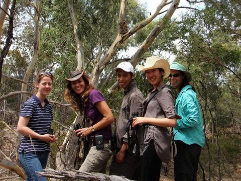 Echidna Walkabout Nature Tours - Tourism Caloundra 3