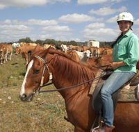 Myella Farm Stay Tours - Tourism Caloundra