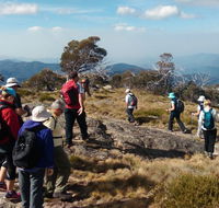 Hedonistic Hiking - Tourism Caloundra