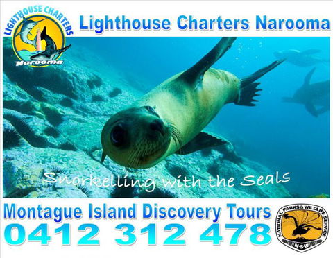 Lighthouse Charters Narooma - Tourism Caloundra 11