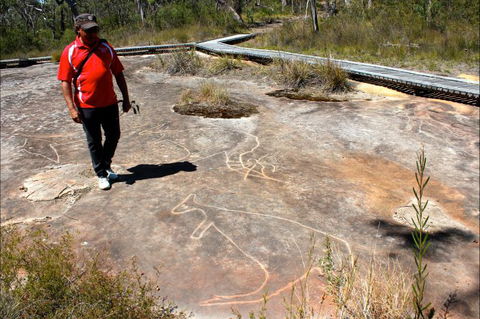 Bara Barang Aboriginal Tours - Tourism Caloundra 5