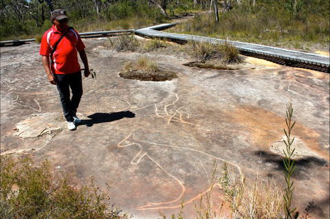 Bara Barang Aboriginal Tours - Tourism Caloundra 10