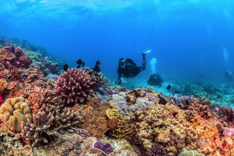 Sunreef Mooloolaba - Tourism Caloundra 7