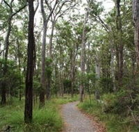 Caboolture Regional Environment Education Centre - Walking Trails - Tourism Caloundra