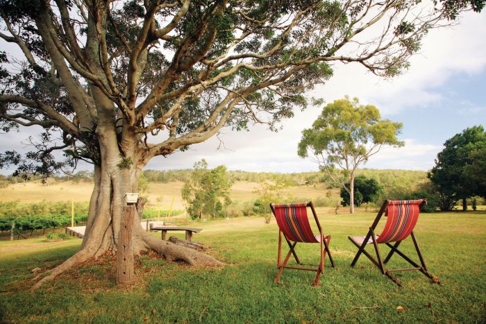 Harristown QLD Tourism Caloundra