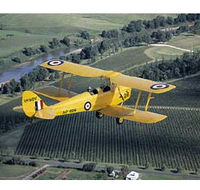 Royal Newcastle Aero Club - Tourism Caloundra