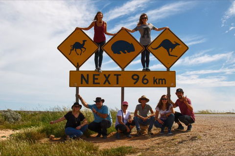 Nullarbor Traveller - Tourism Caloundra 35