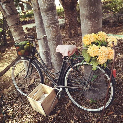 Childers Wine Trail - Tourism Caloundra 12