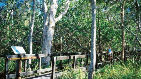 Kinaba Track - Tourism Caloundra 0