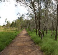 Billai dhagun Circuit Place of She-Oaks - Tourism Caloundra