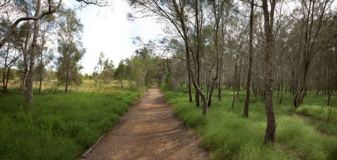 Billai Dhagun Circuit (Place Of She-Oaks) - Tourism Caloundra 0