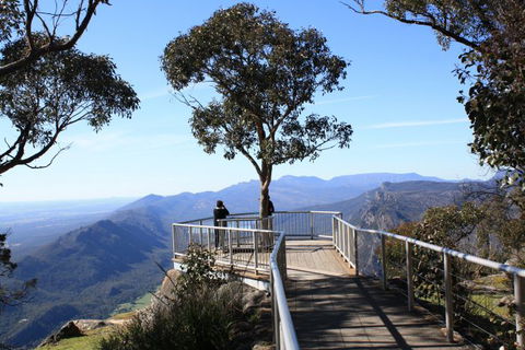 Australian Natural Treasures Touring - Tourism Caloundra 7