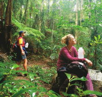 Ships Stern circuit - Tourism Caloundra