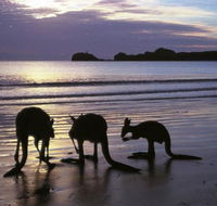 Beachcomber Cove Track - Tourism Caloundra