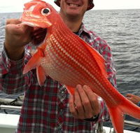 Goin' Off Safaris - Tourism Caloundra