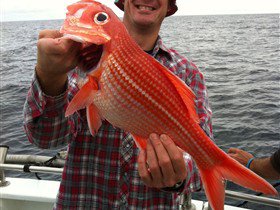 Goin' Off Safaris - Tourism Caloundra 1