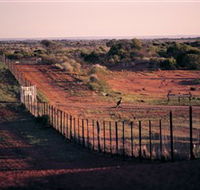 Tri State Safaris - Tourism Caloundra
