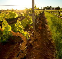 Kaesler Old Vine Vineyard Tour - Tourism Caloundra
