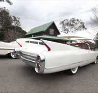 Hunter Valley Cadillacs - Tourism Caloundra