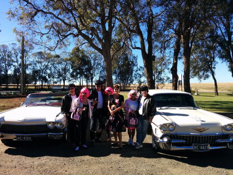 Hunter Valley Cadillacs - Tourism Caloundra 1