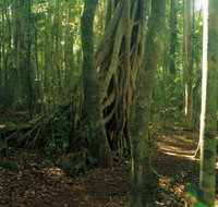 Tullawallal circuit - Tourism Caloundra