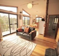 Southern Forest Accommodation - Tourism Caloundra